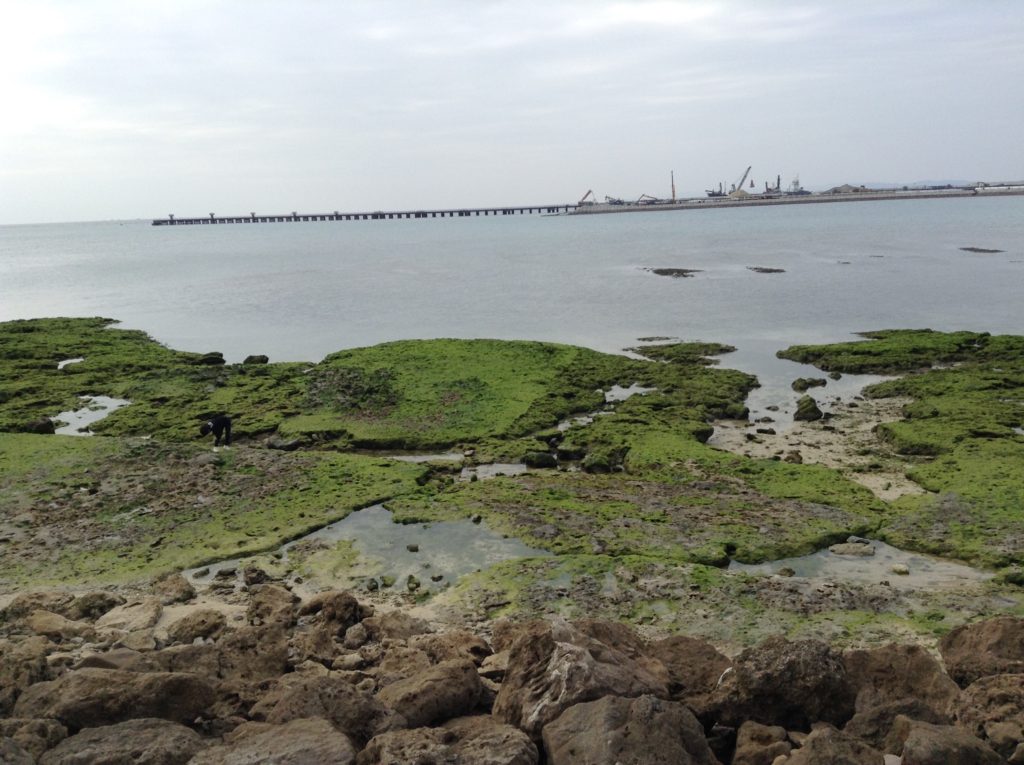 ウミカジテラス