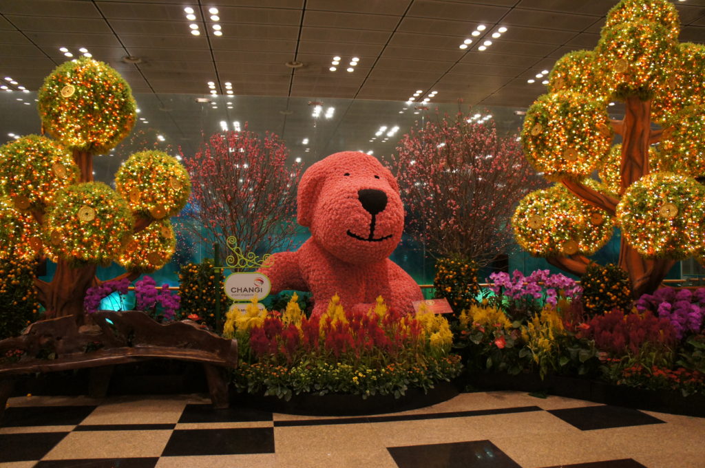 チャンギ国際空港かわいい犬