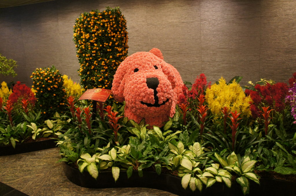 チャンギ国際空港かわいい犬