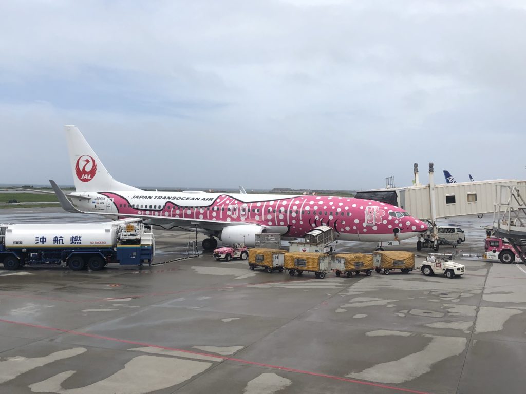 さくらジンベエ