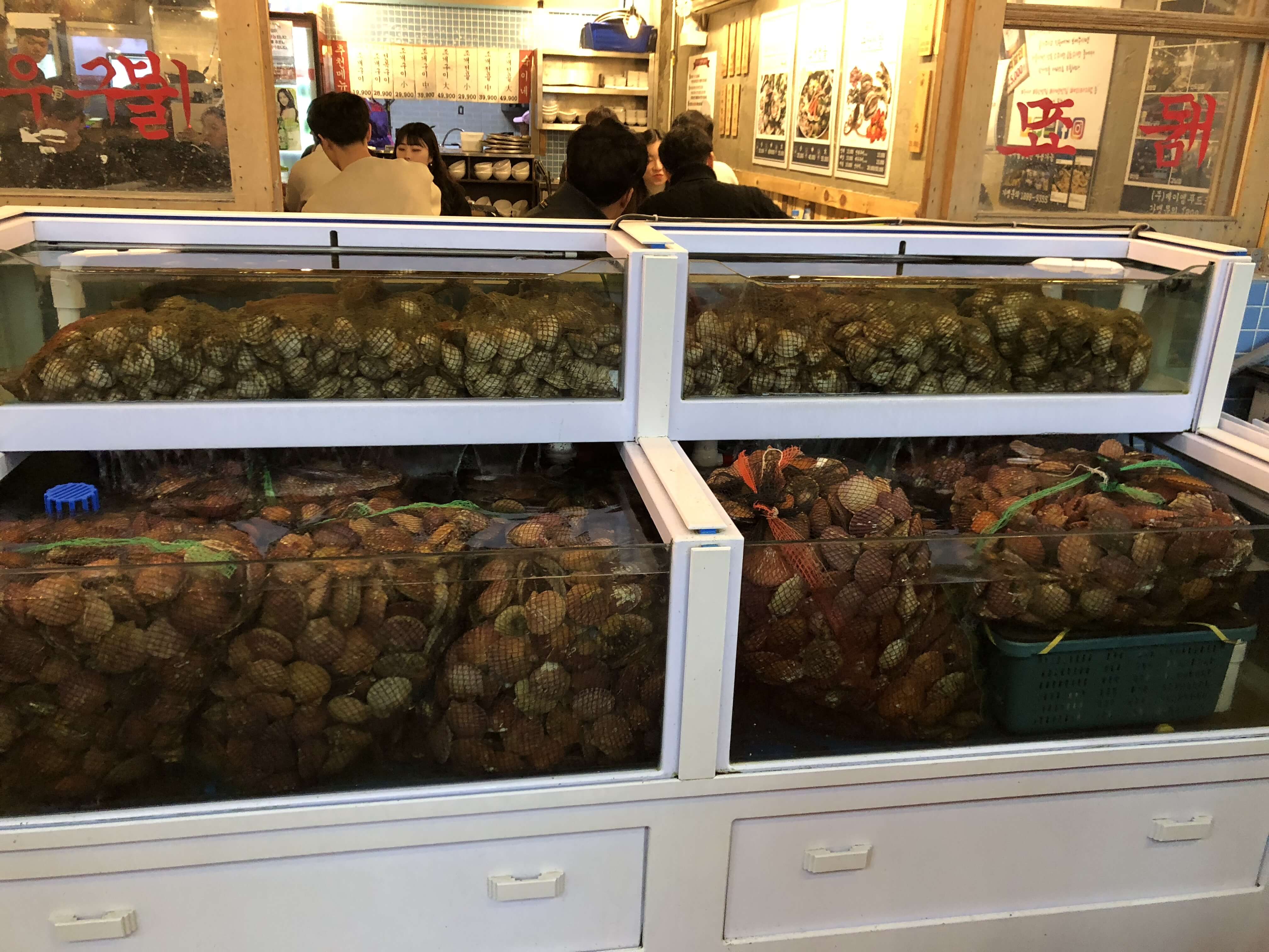店頭の水槽
