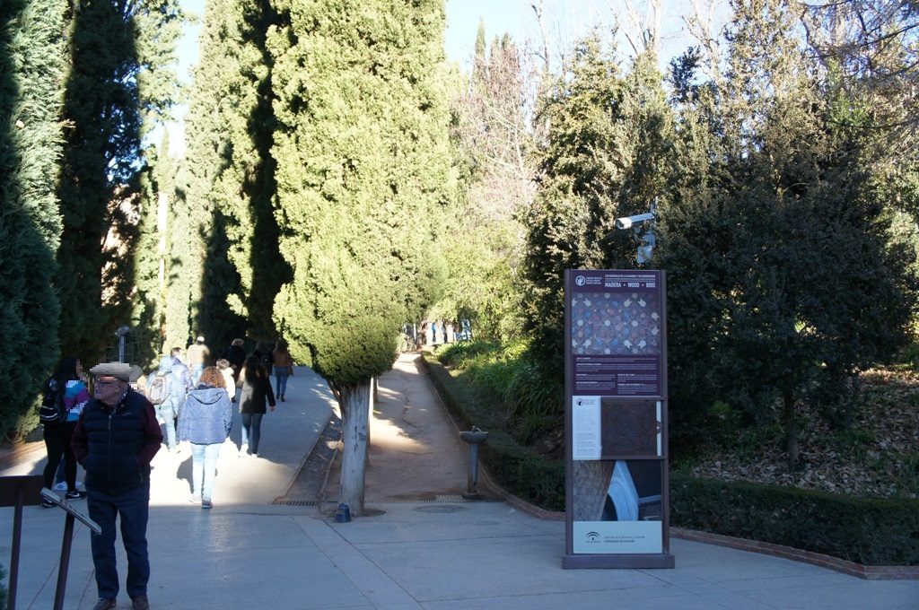 入口を入ったところ