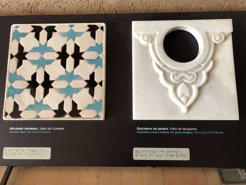 触れるコーナー