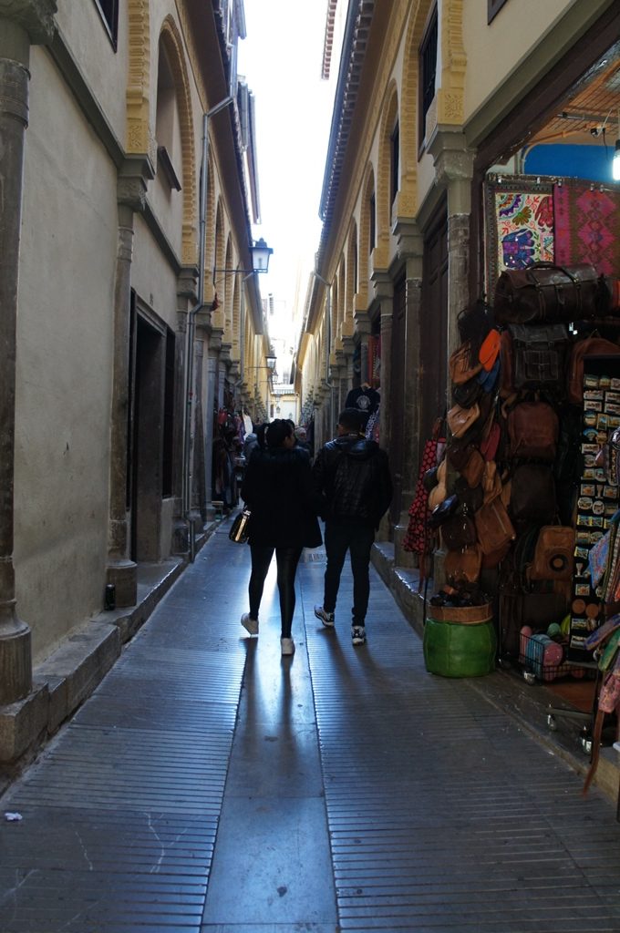 アルカイセリア