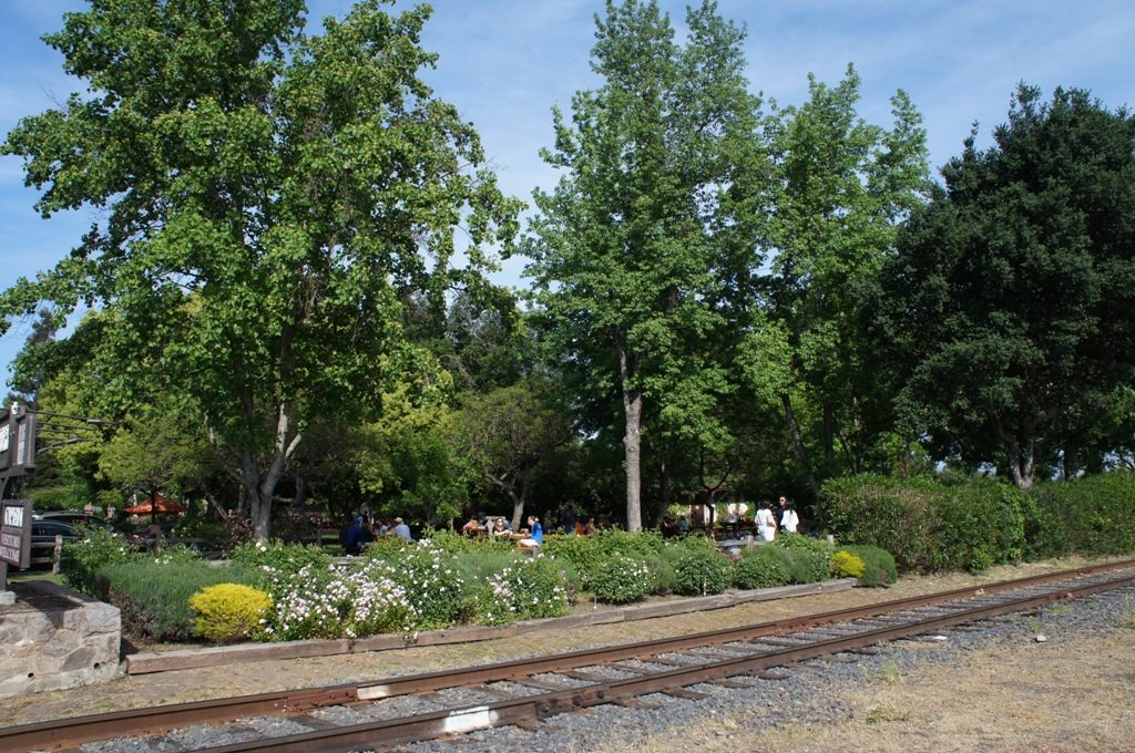 V.Sattui Wineryのお庭