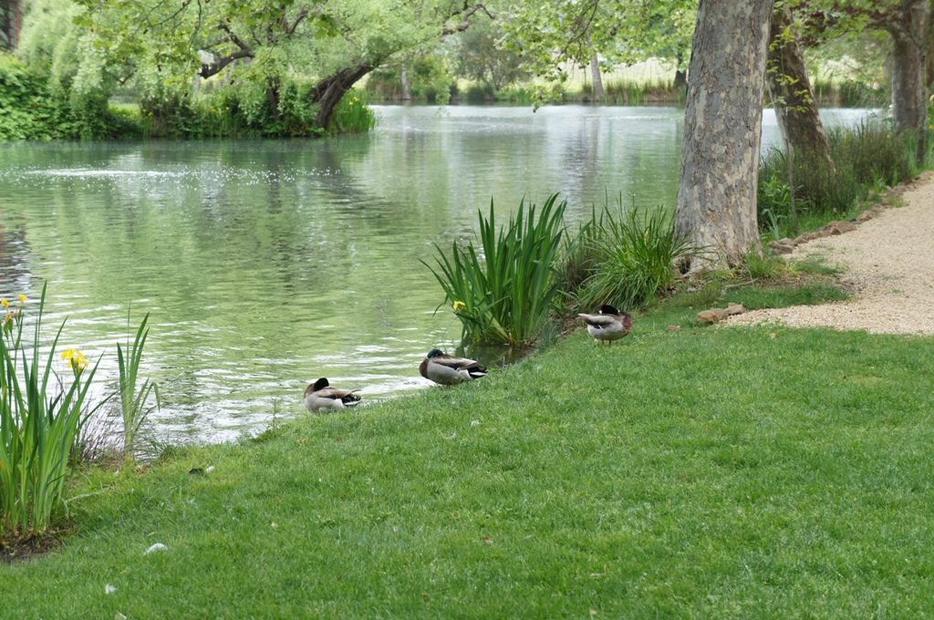シャトー・モンテレナ