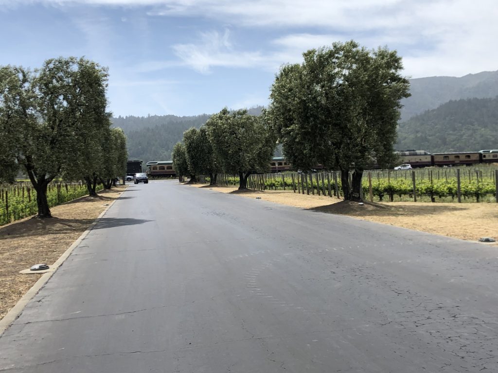 ワイントレイン