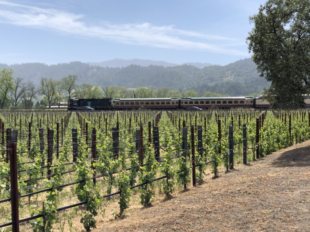 ワイントレイン