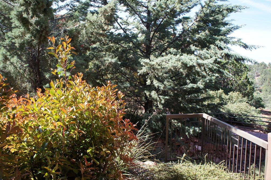 お部屋からの景色