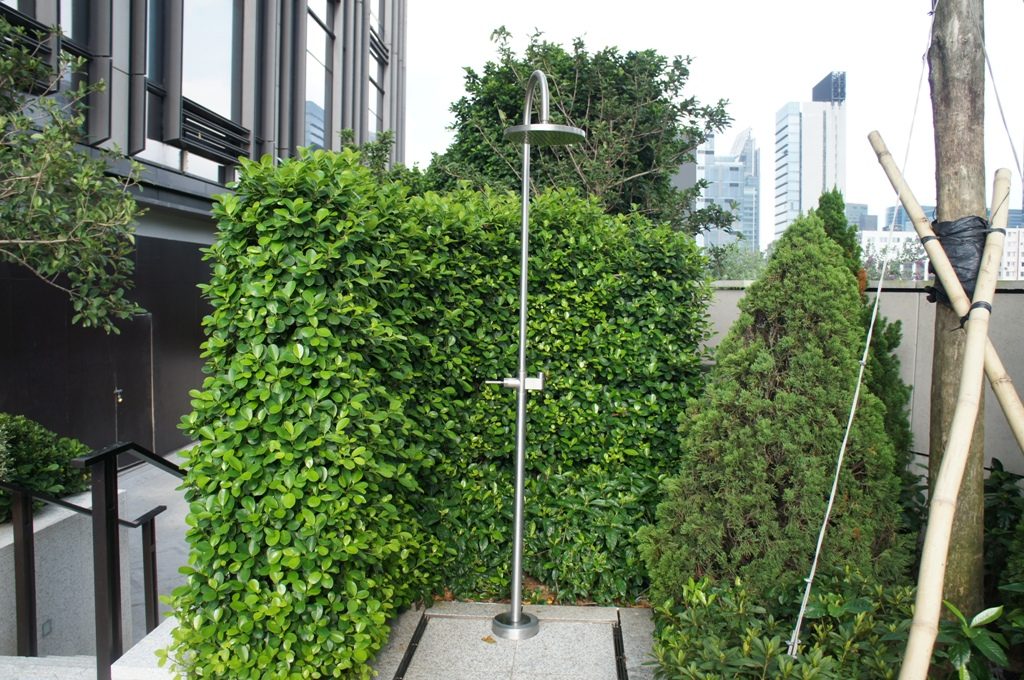 ローズウッド香港プール