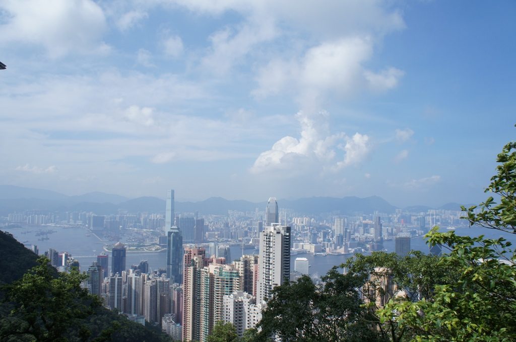 山頂からの景色