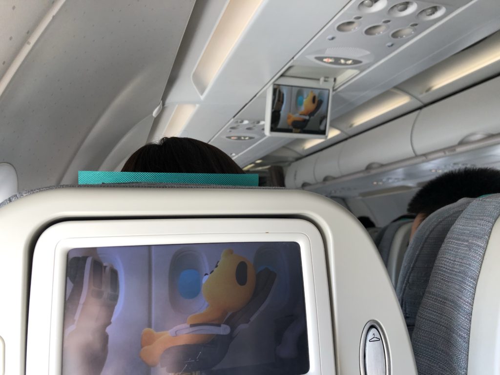 エアソウル機内