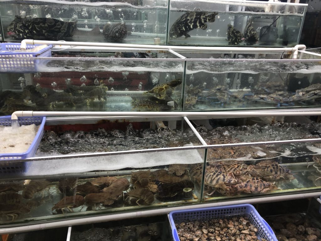 ナイトマーケット