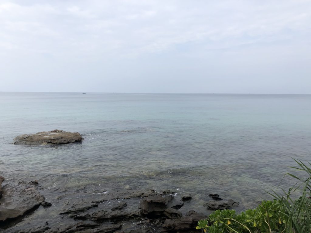 お部屋からの景色