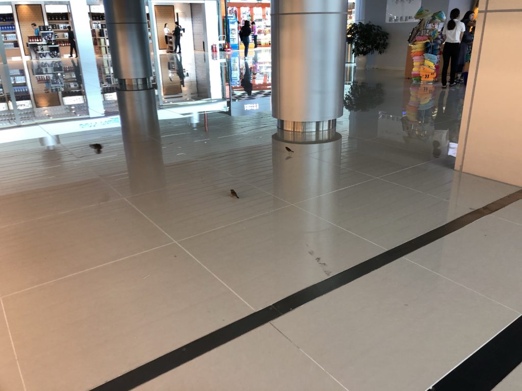 フーコック空港ショップ