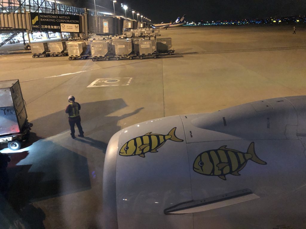 飛行機からの景色