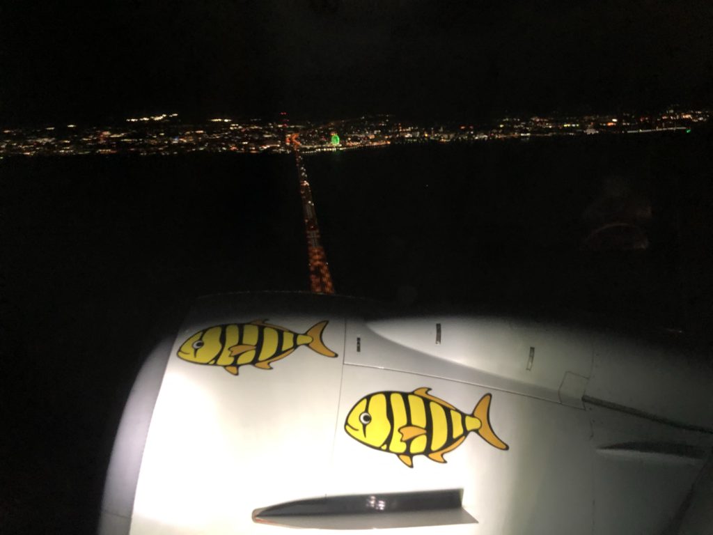 飛行機からの景色