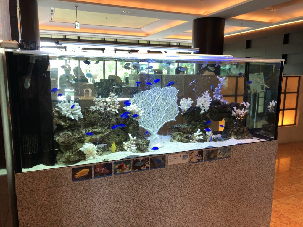 沖縄ハーバービューホテル水槽