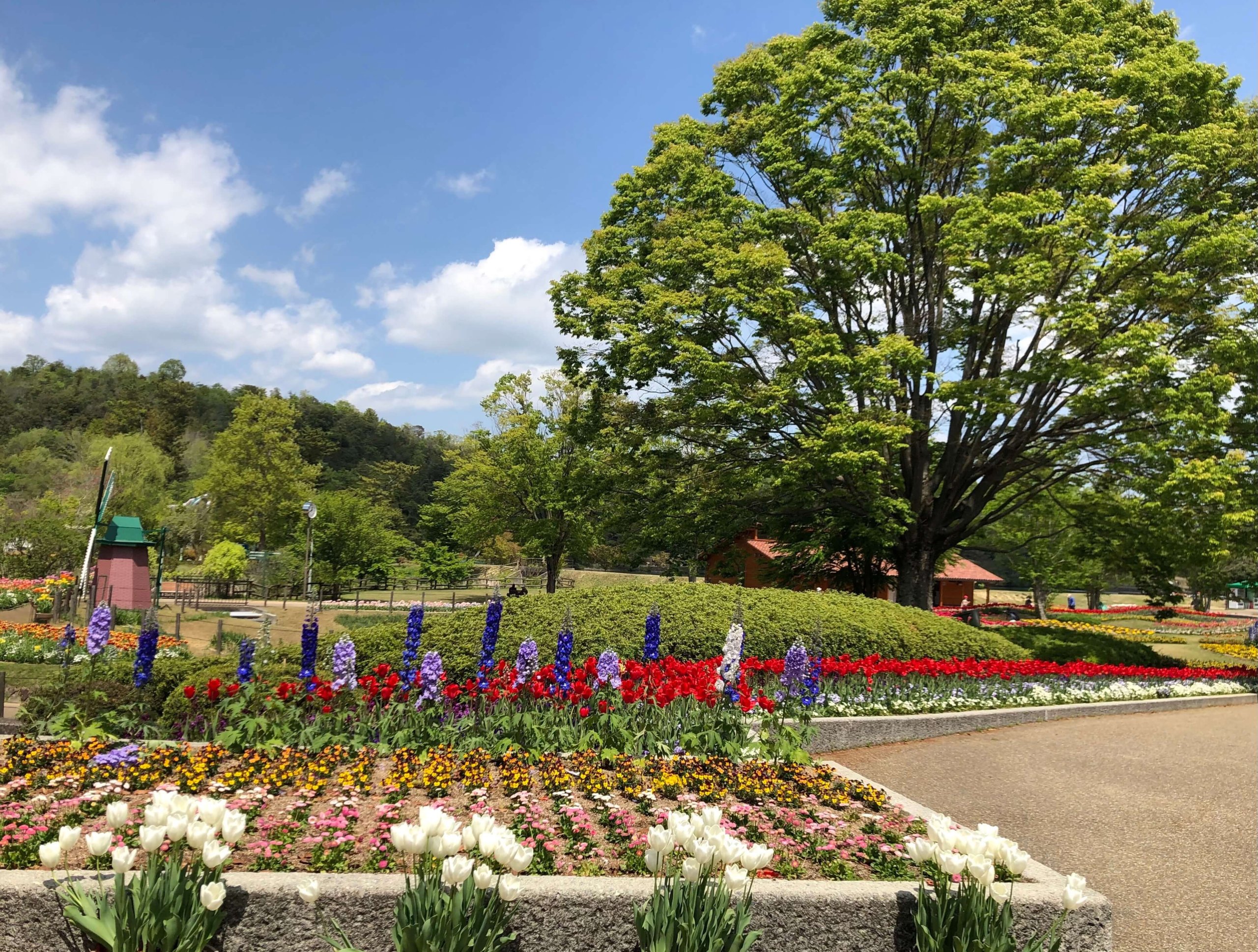 兵庫県立フラワーセンター