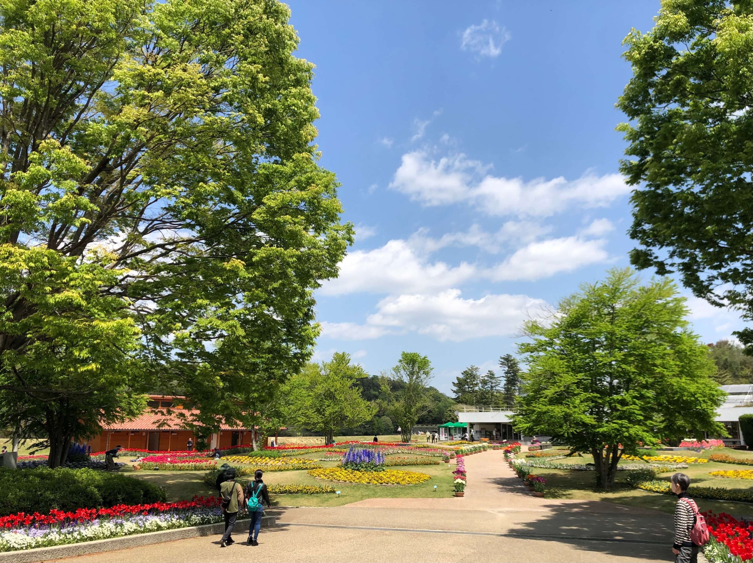 兵庫県立フラワーセンター