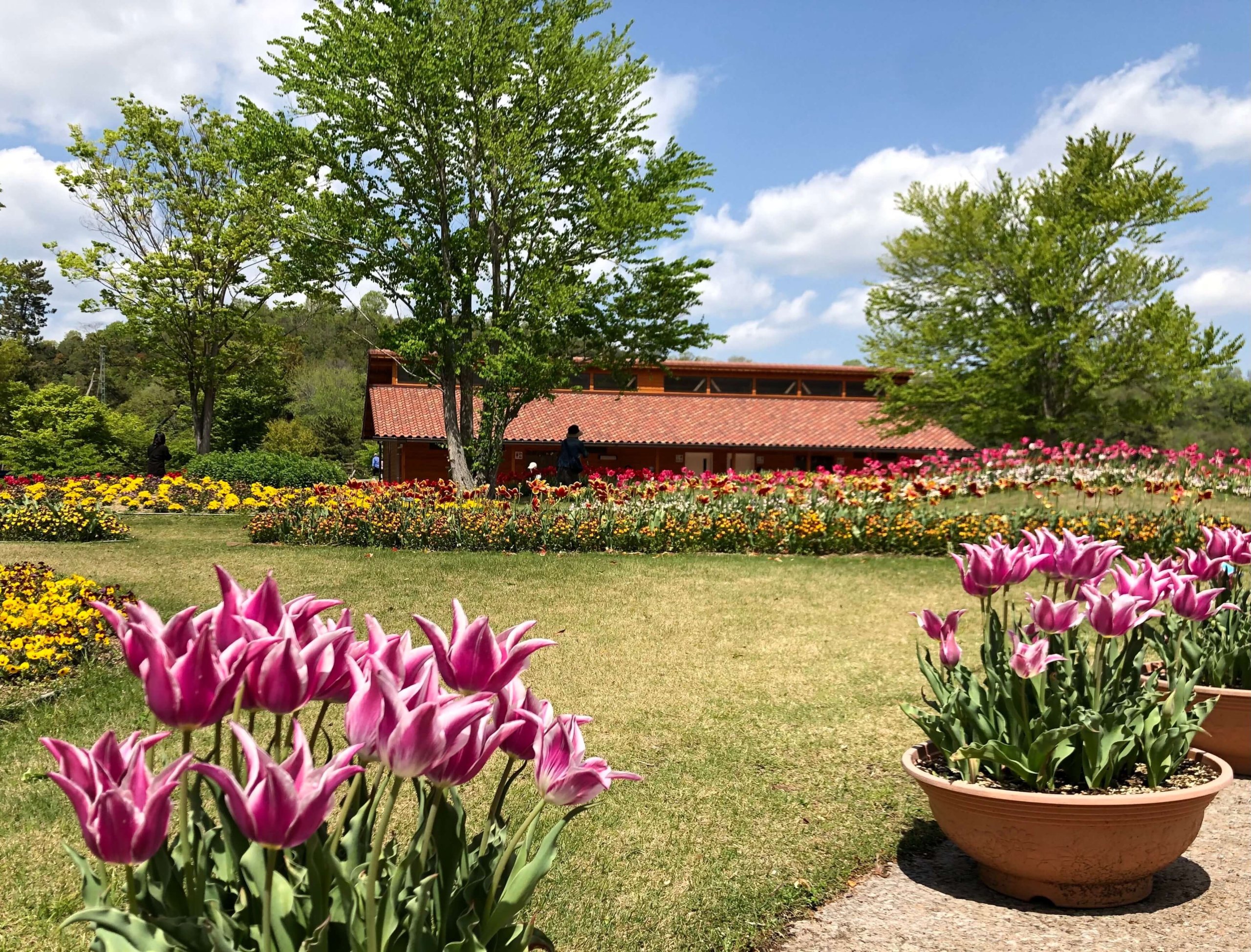 兵庫県立フラワーセンター