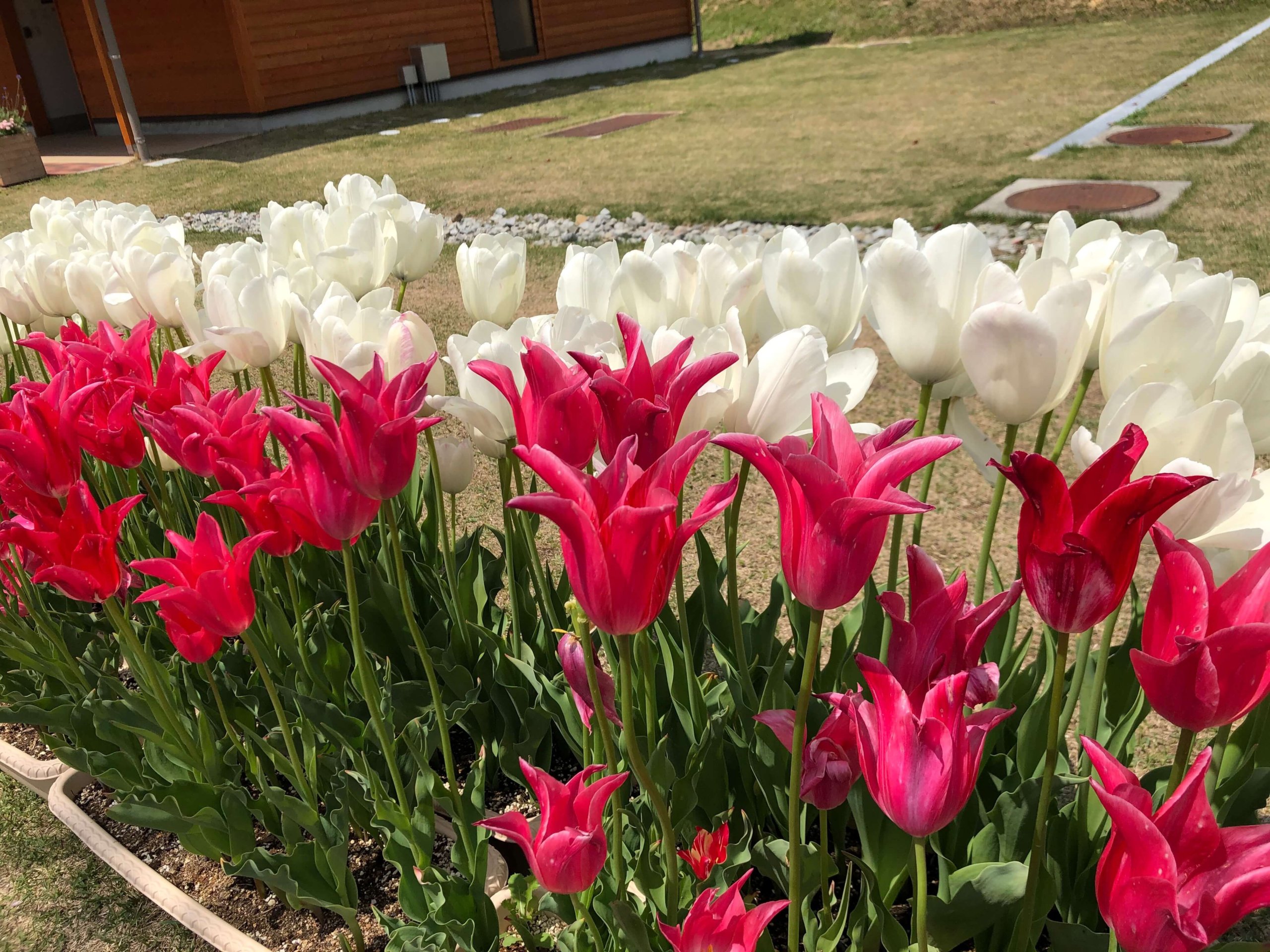 兵庫県立フラワーセンター