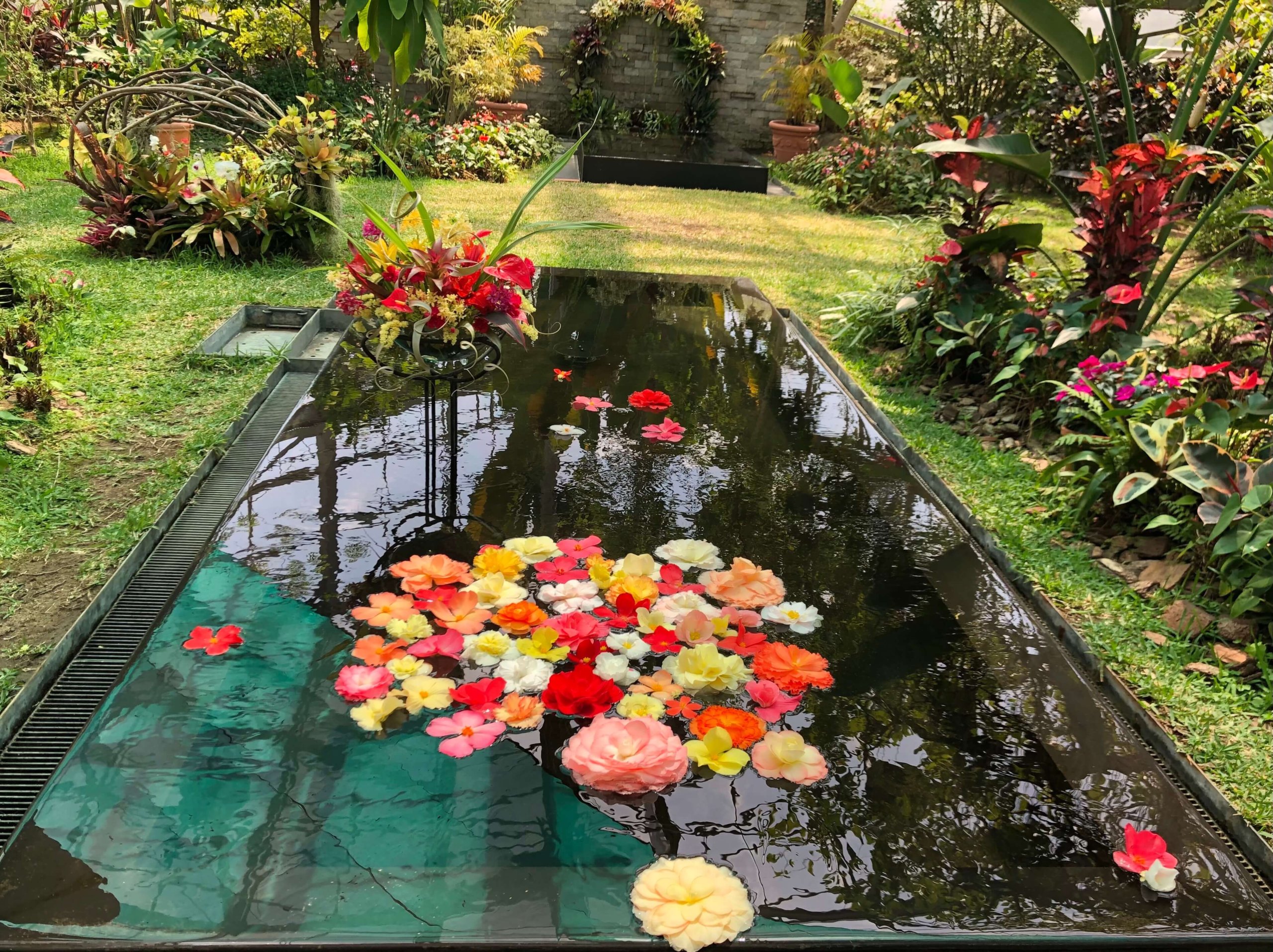 兵庫県立フラワーセンター
