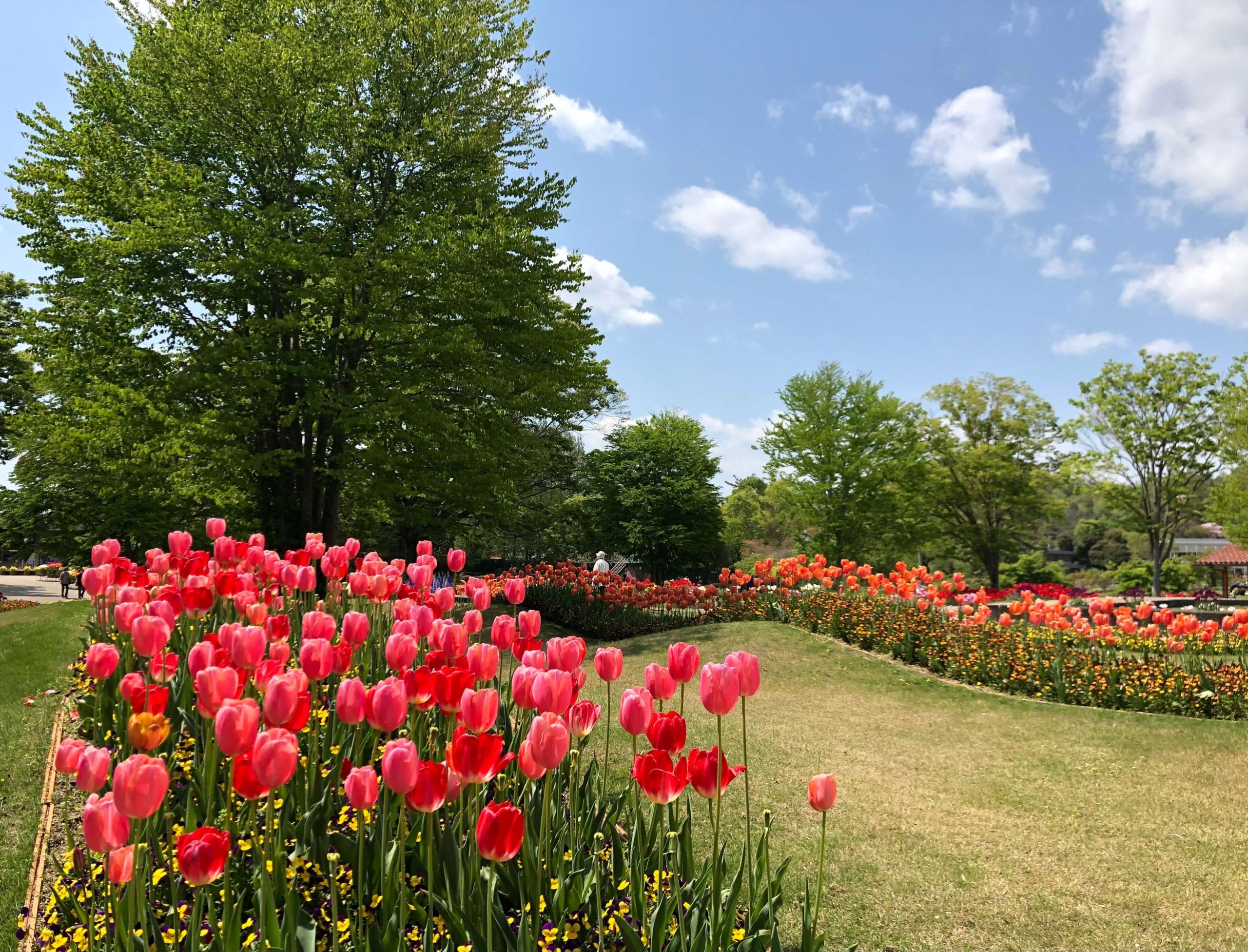 兵庫県立フラワーセンター