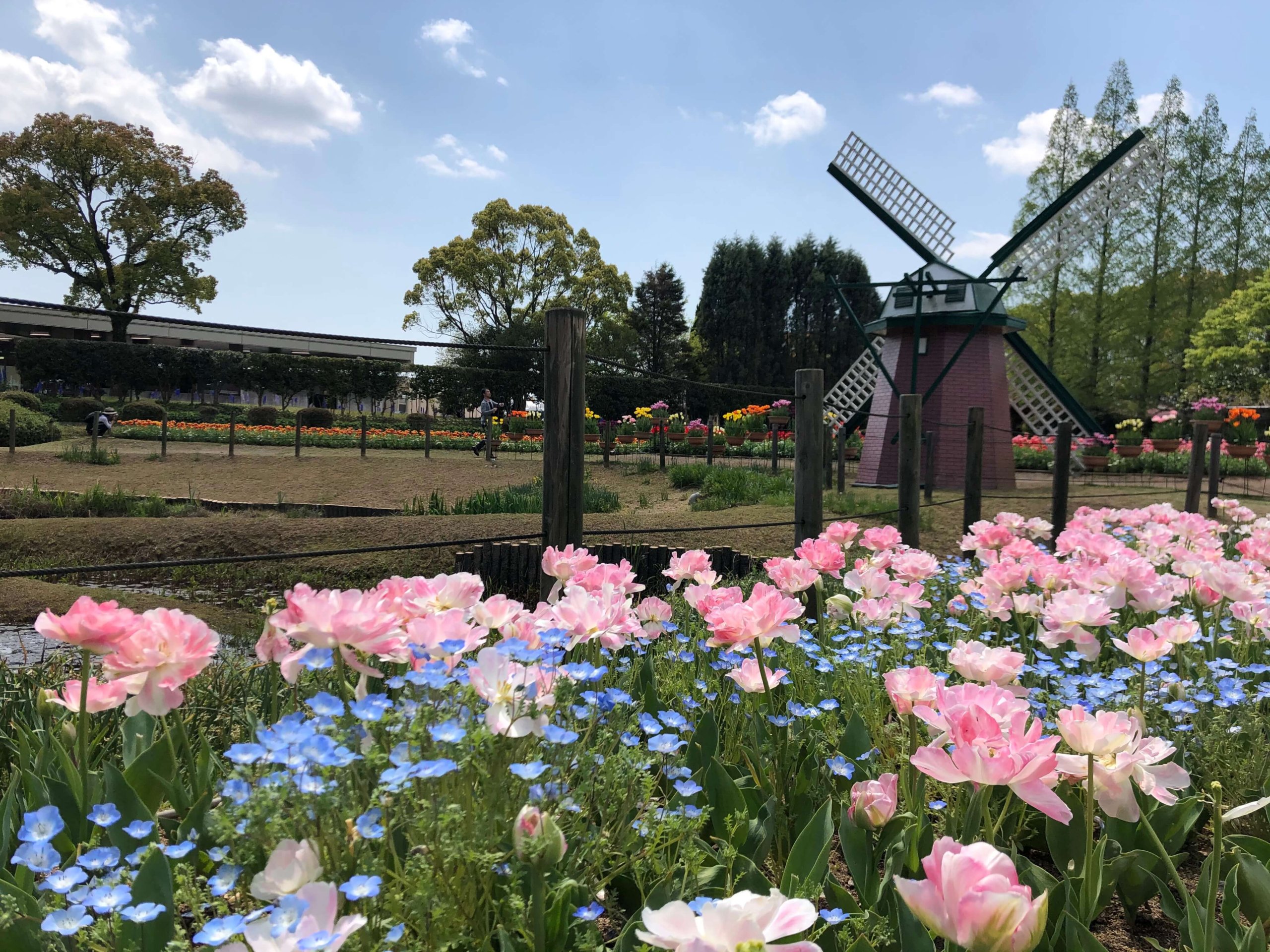 兵庫県立フラワーセンター