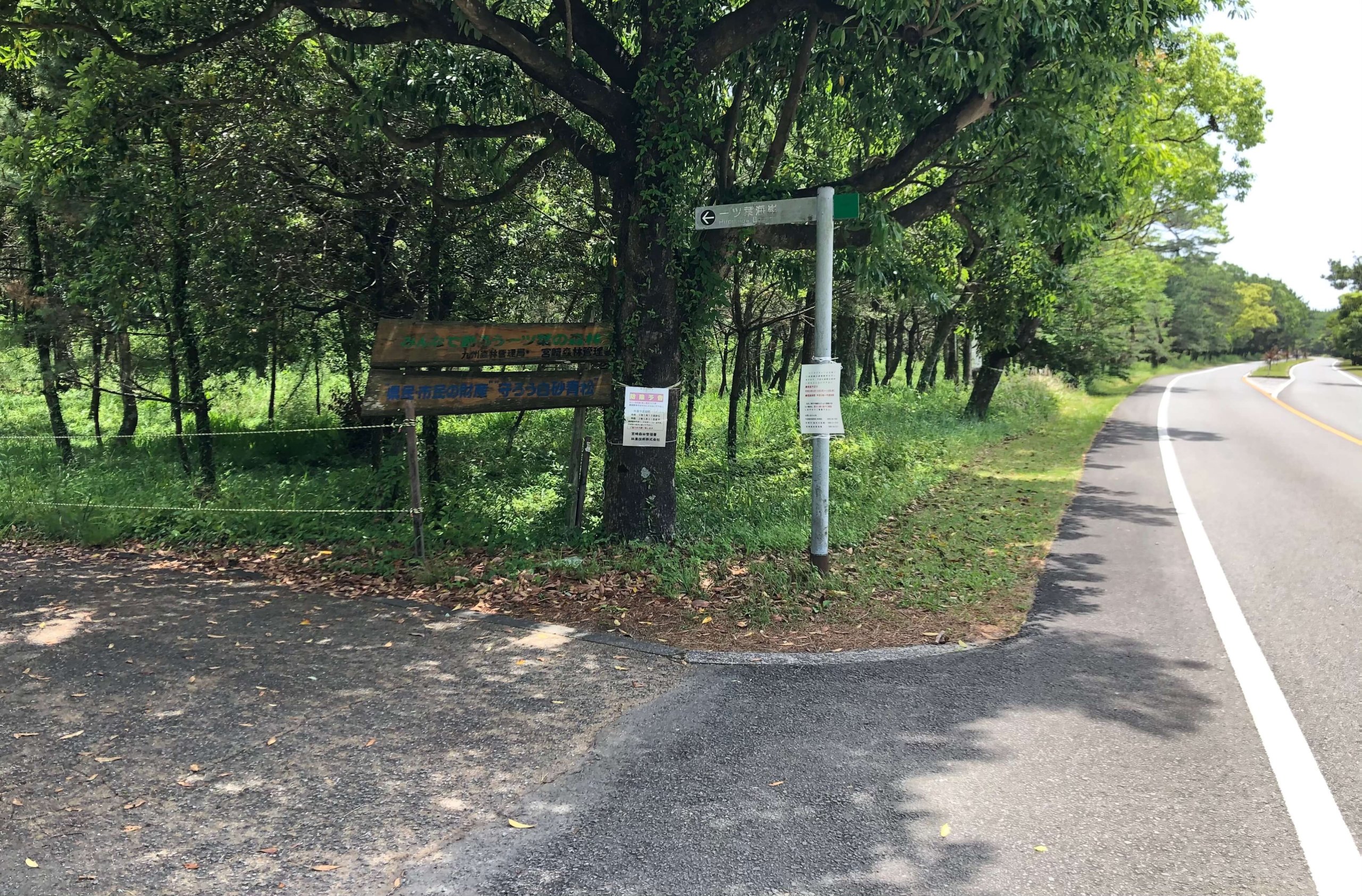 一ッ葉海岸へ行く道