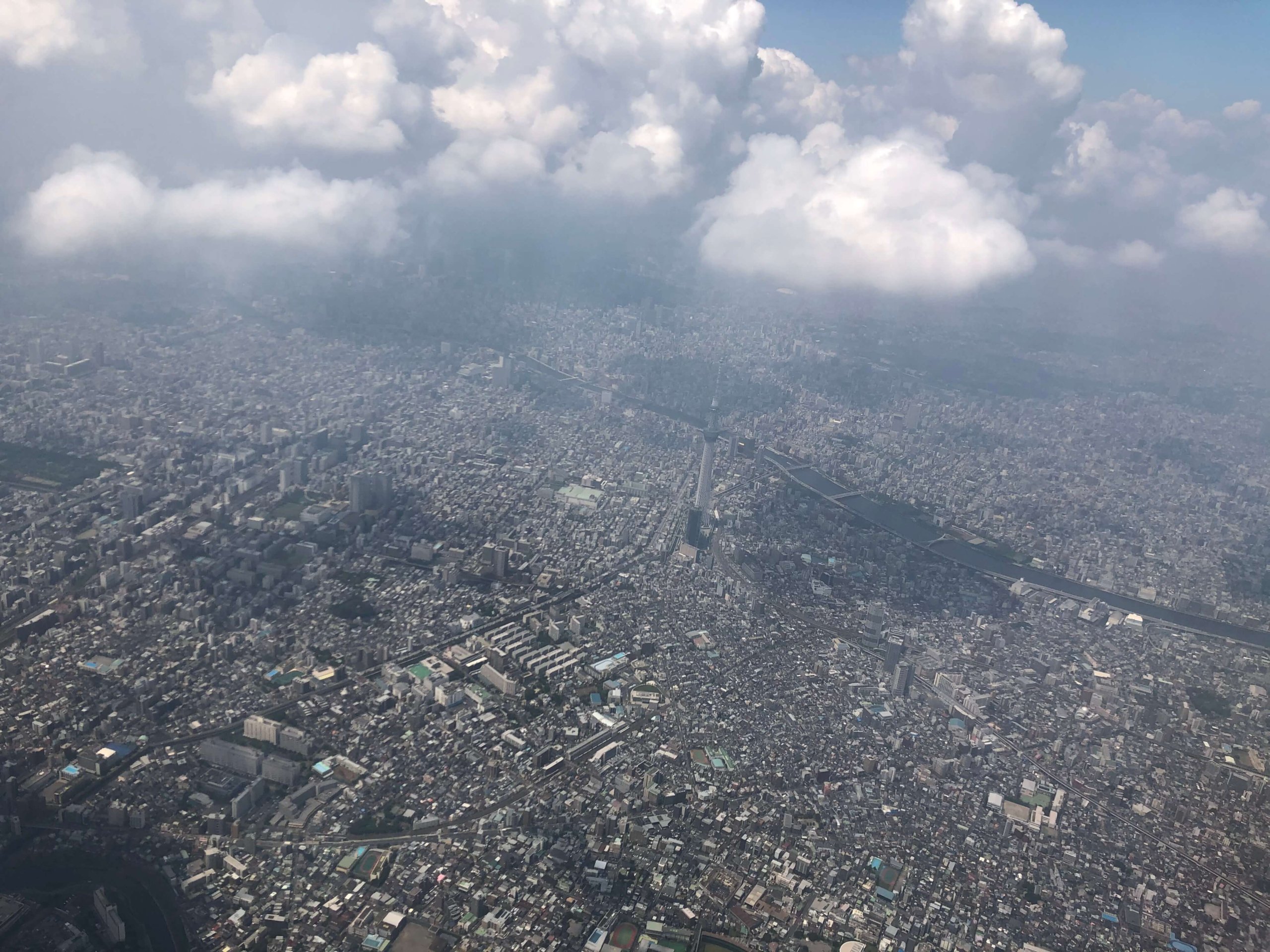 飛行機からの景色