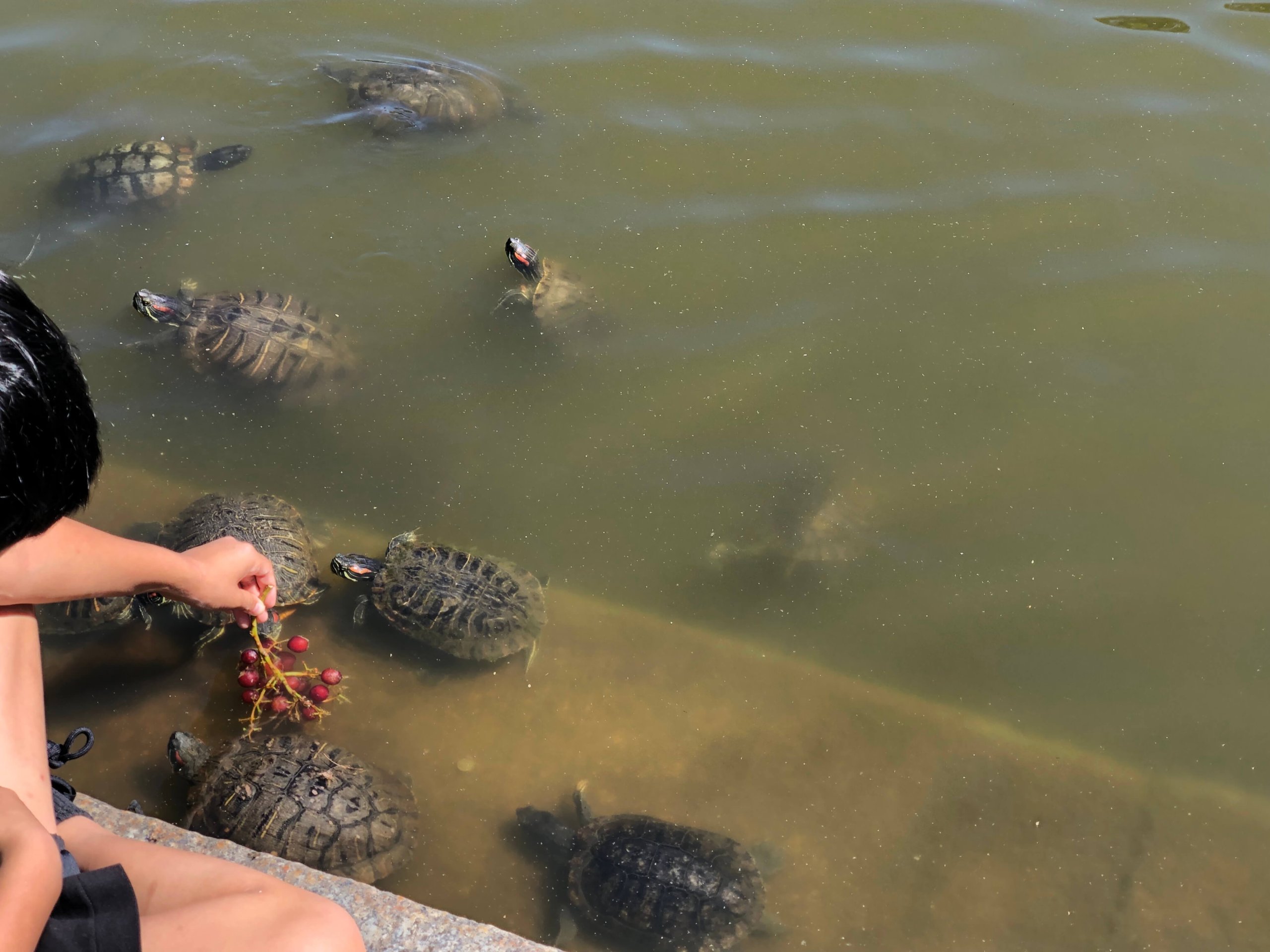 セントラルパーク