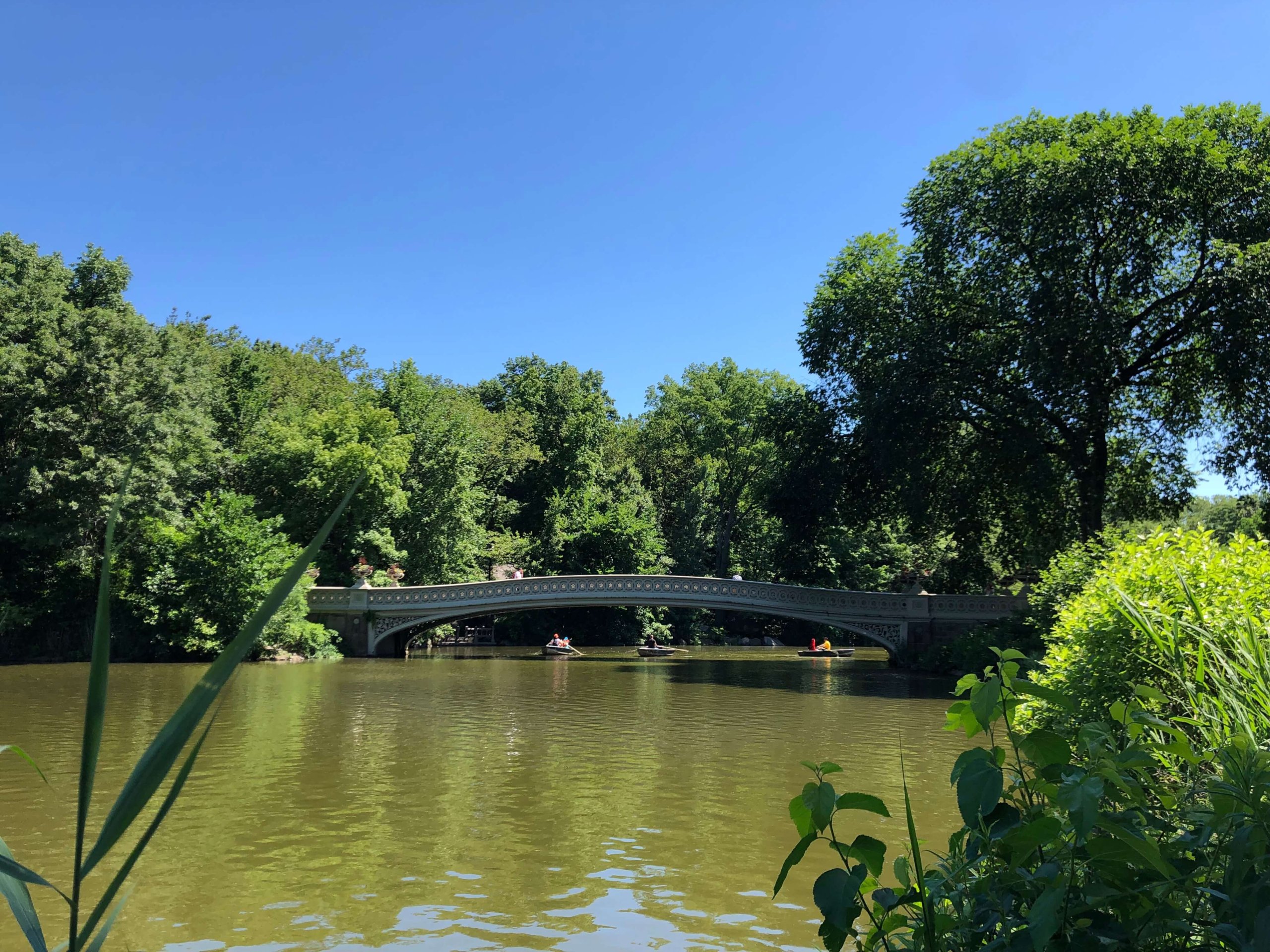 セントラルパーク