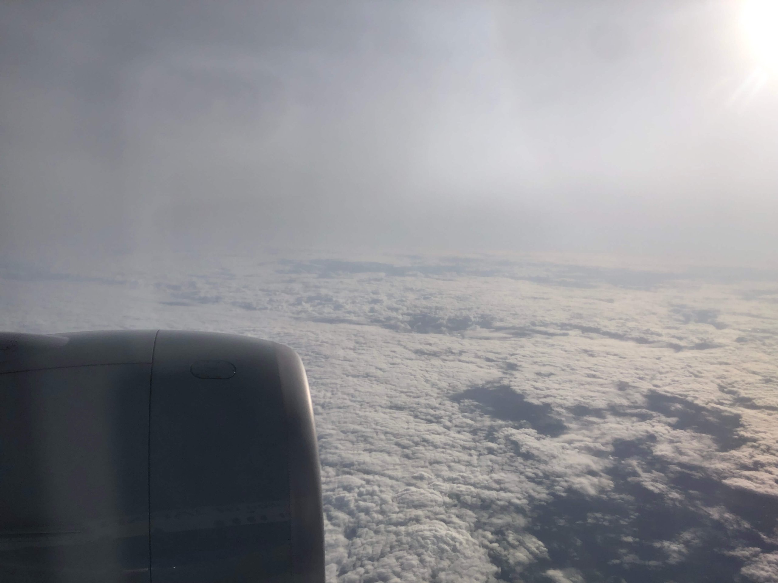 飛行機からの景色