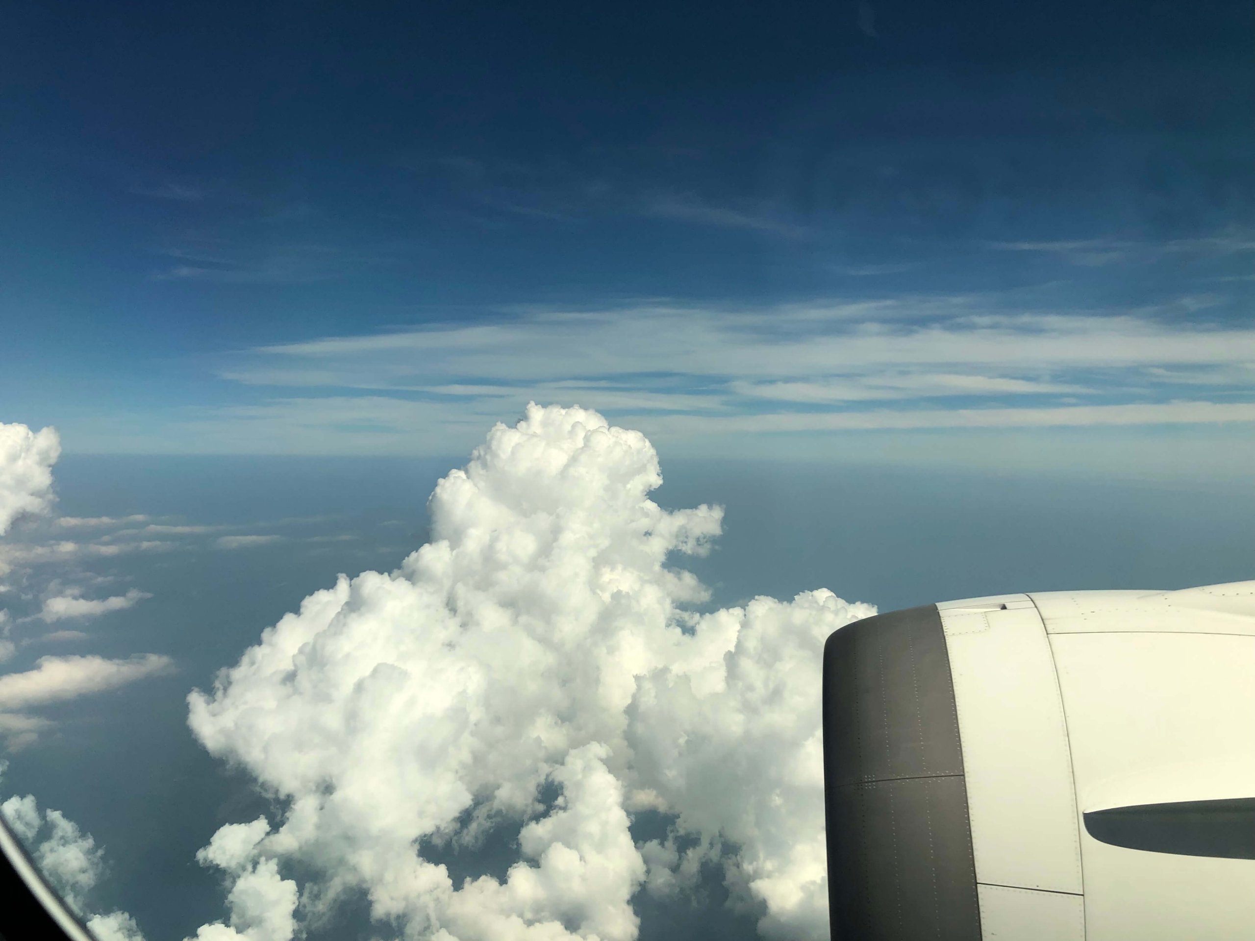飛行機からの景色