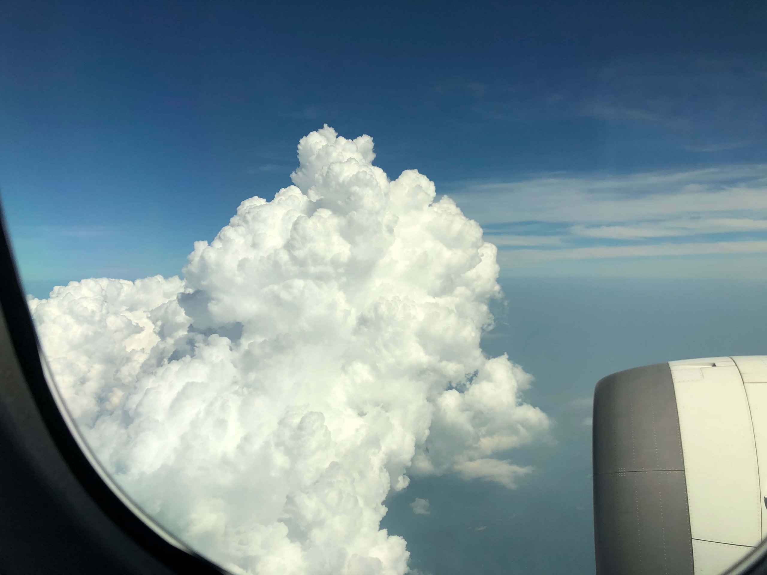 飛行機からの景色