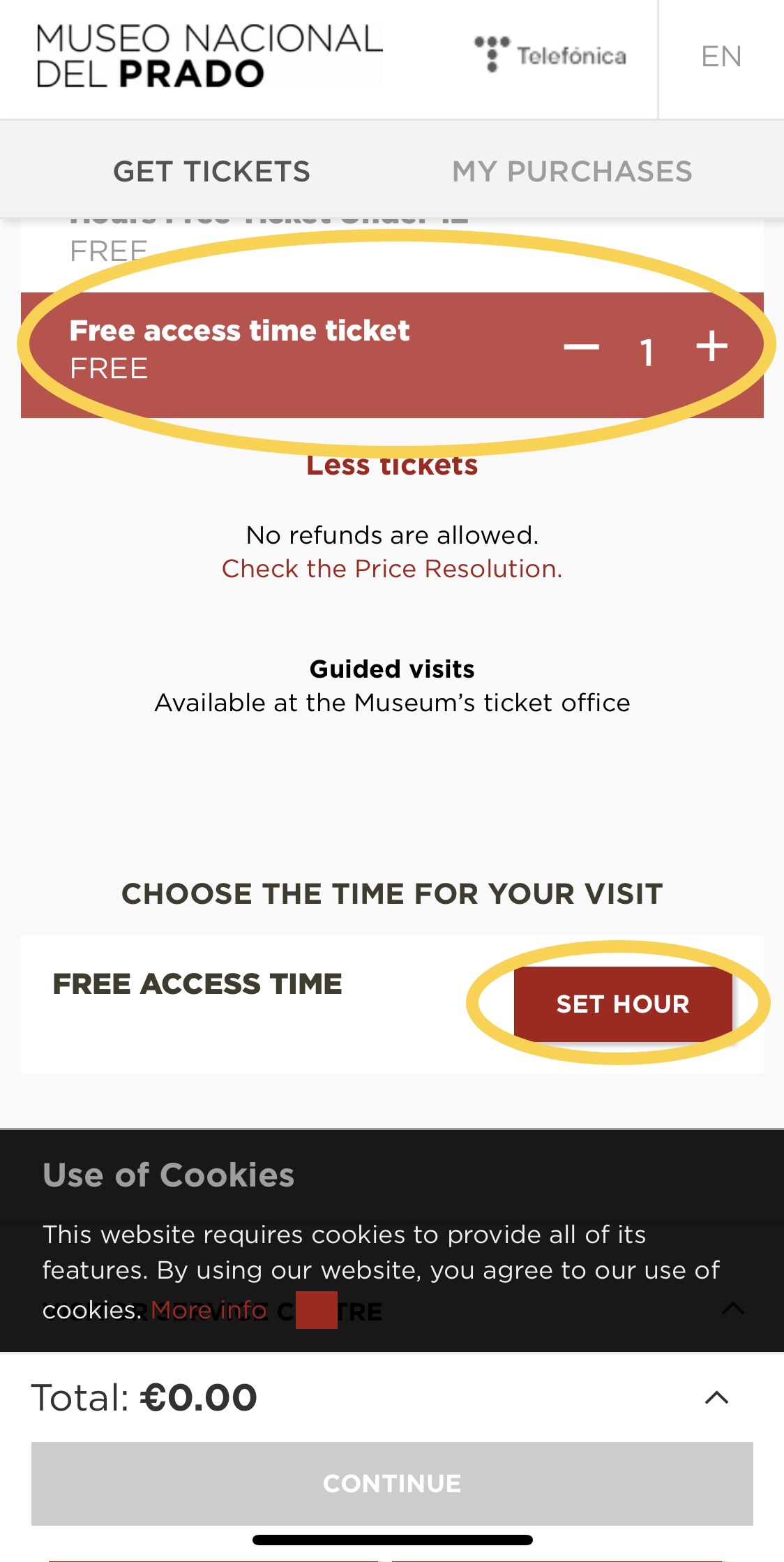 プラド美術館予約画面