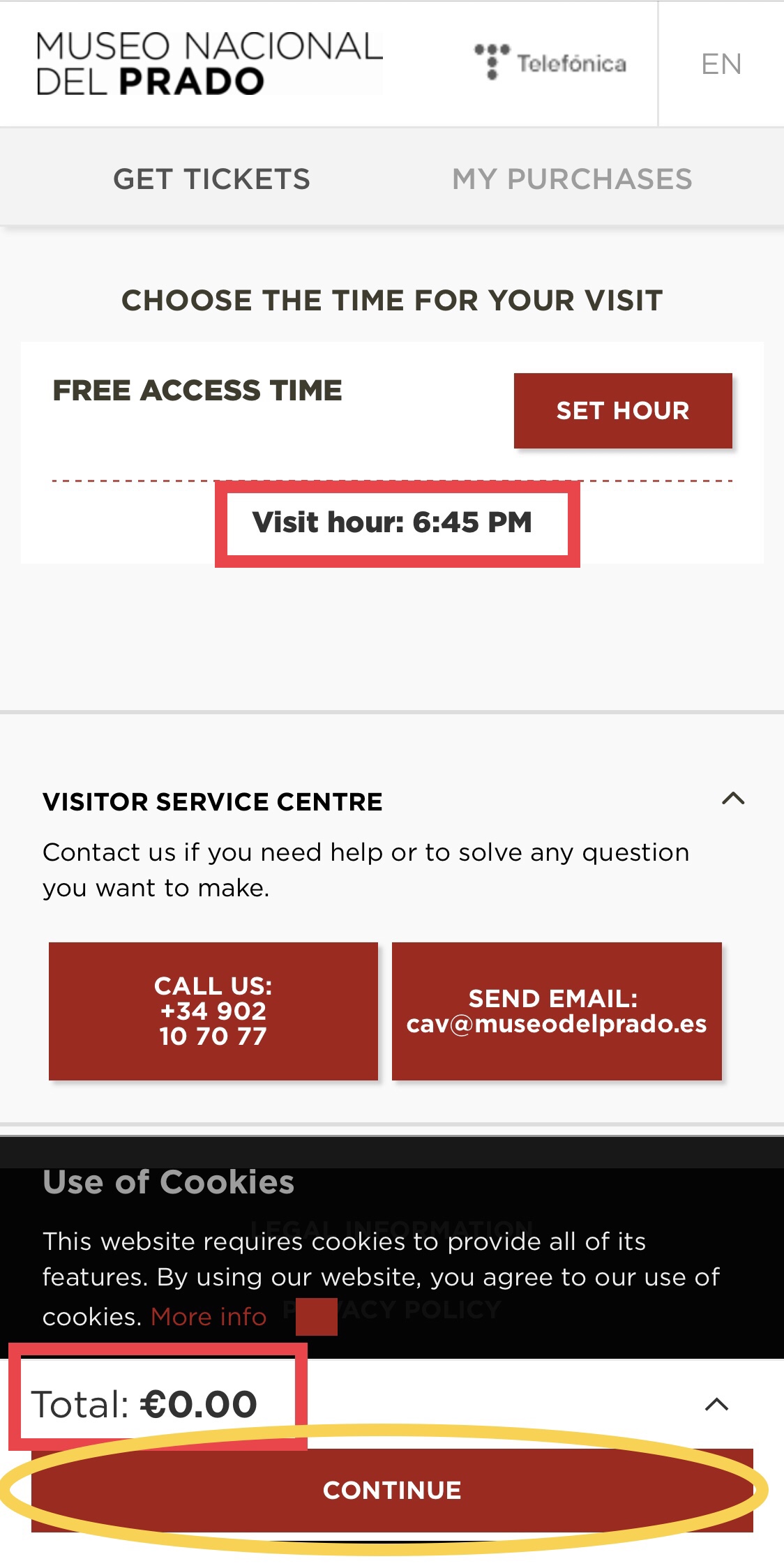 プラド美術館予約画面