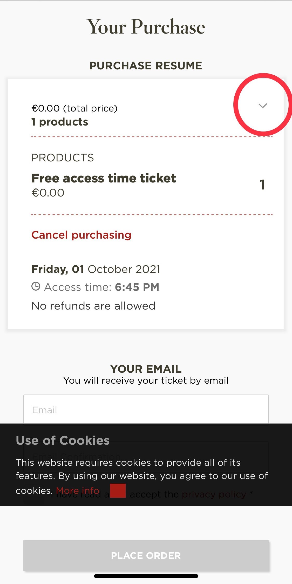 プラド美術館予約画面