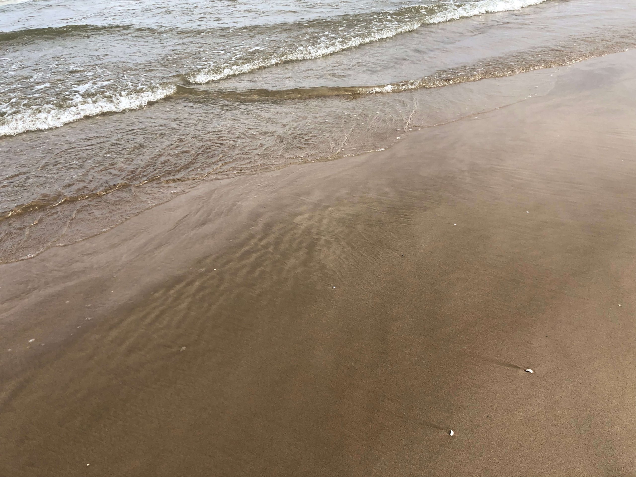 Playa de La Malvarrosa
