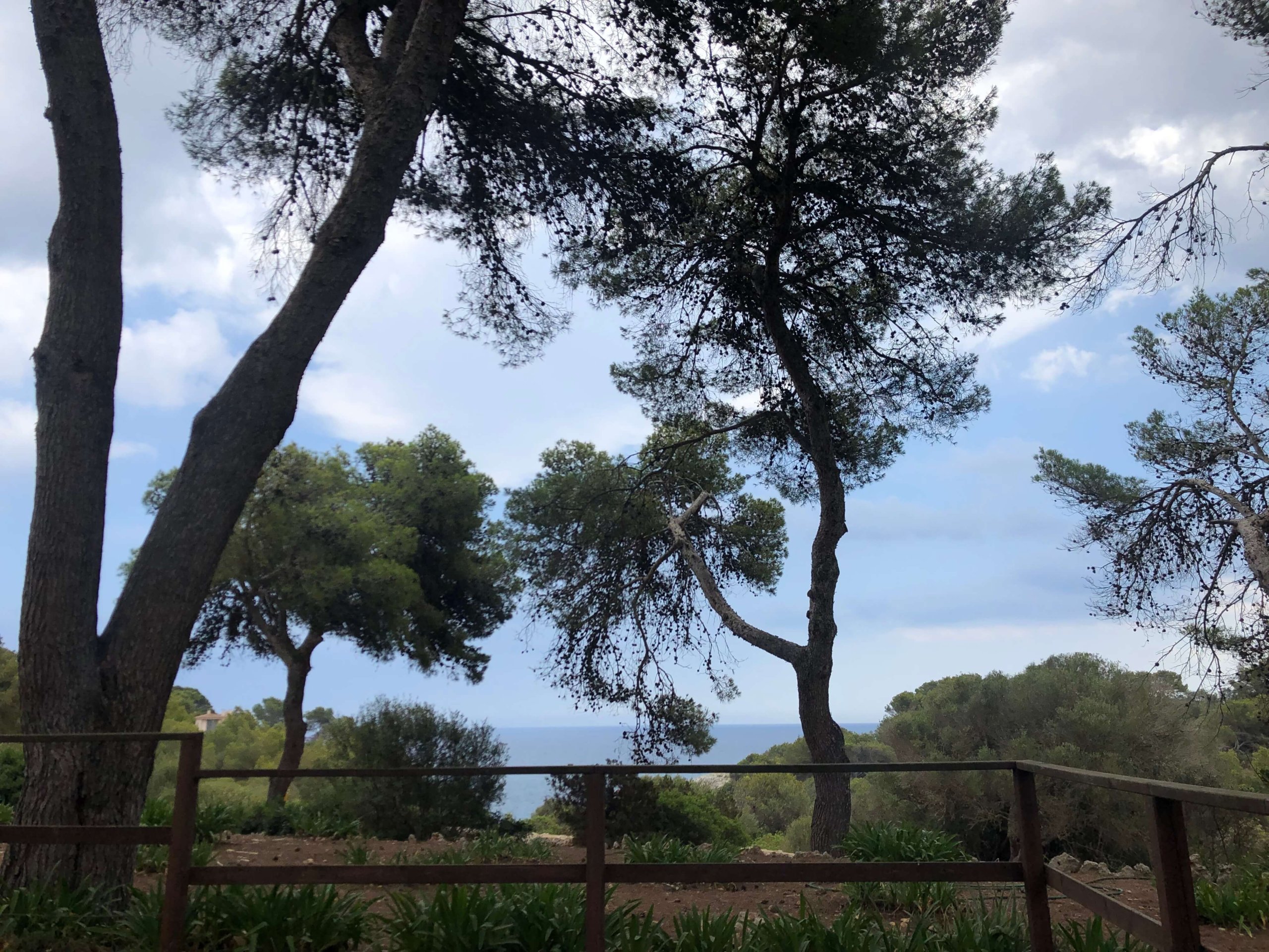 ドラック洞窟から見える海