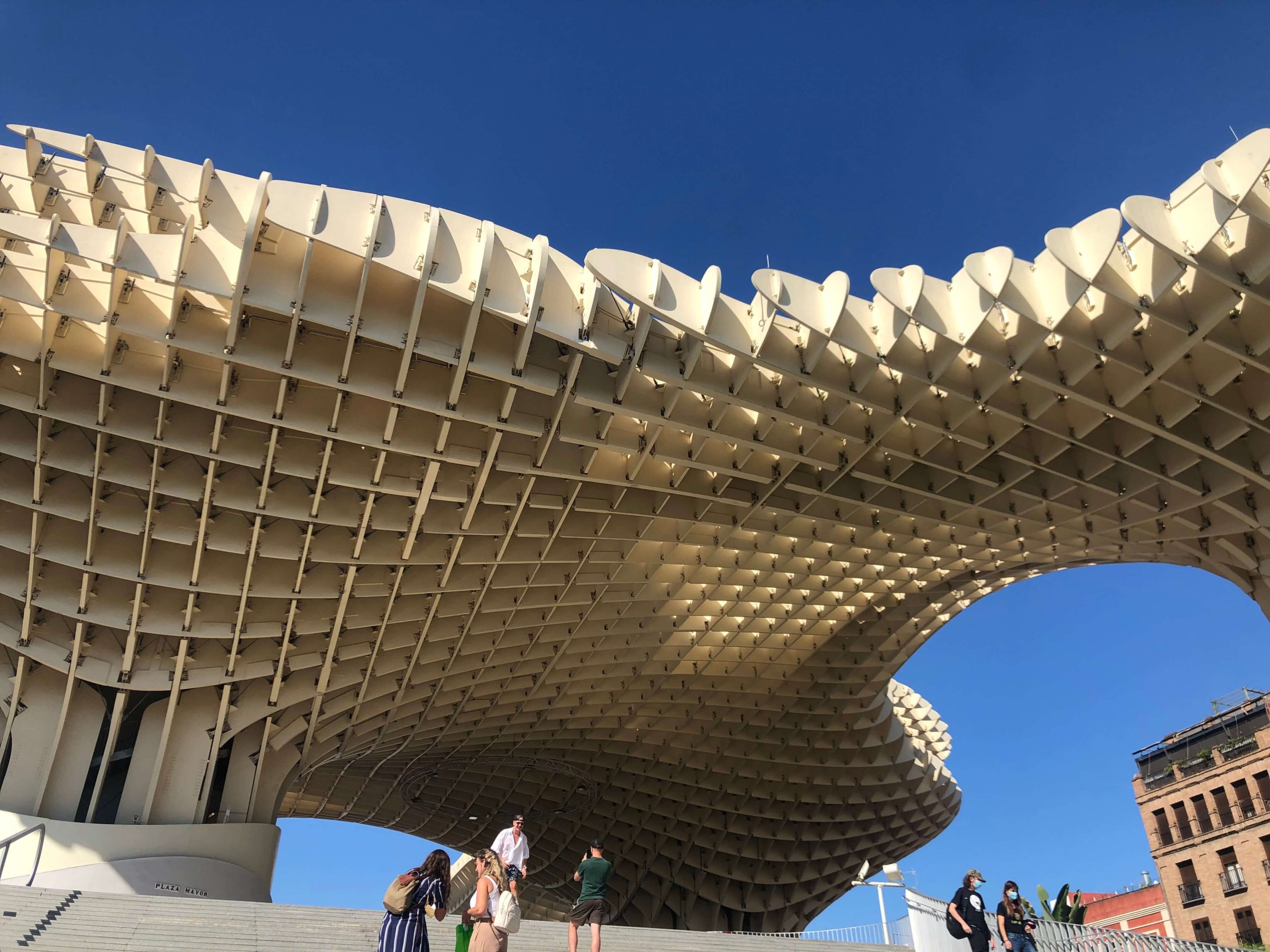 メトロポールパラソル