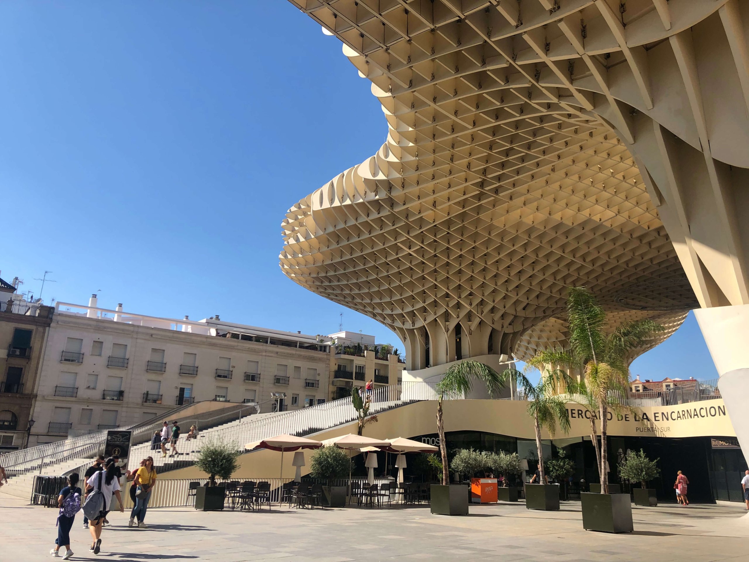 メトロポールパラソル