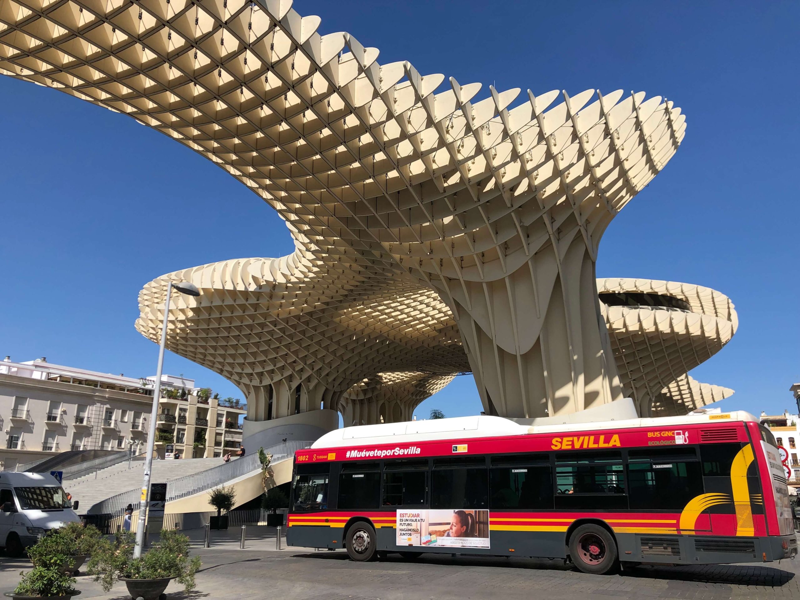 メトロポール・パラソル