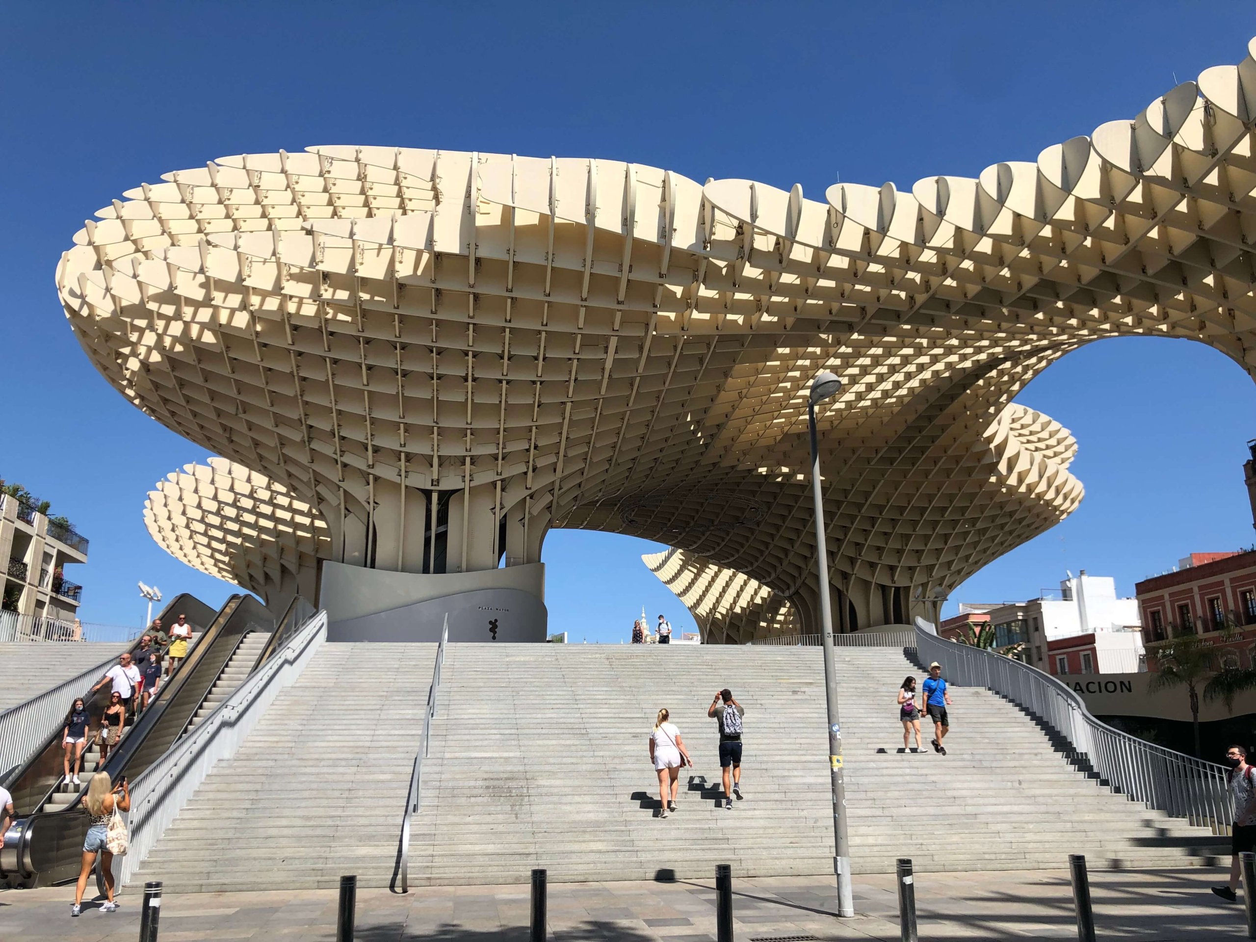 メトロポール・パラソル