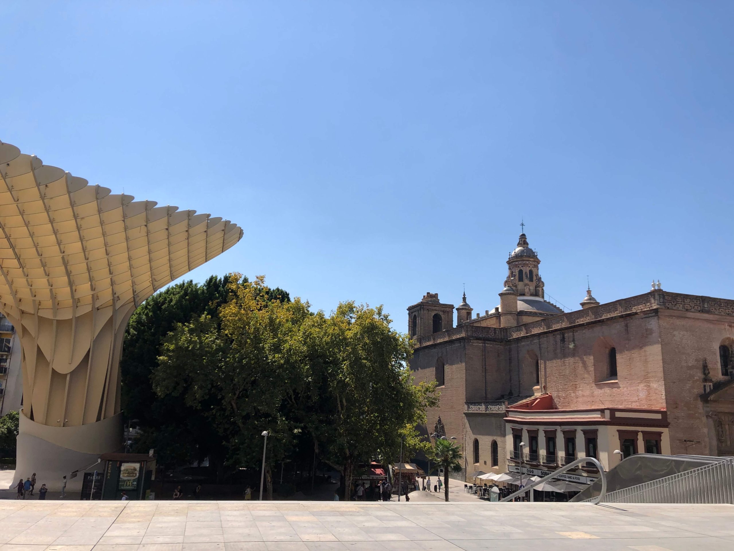 メトロポール・パラソル