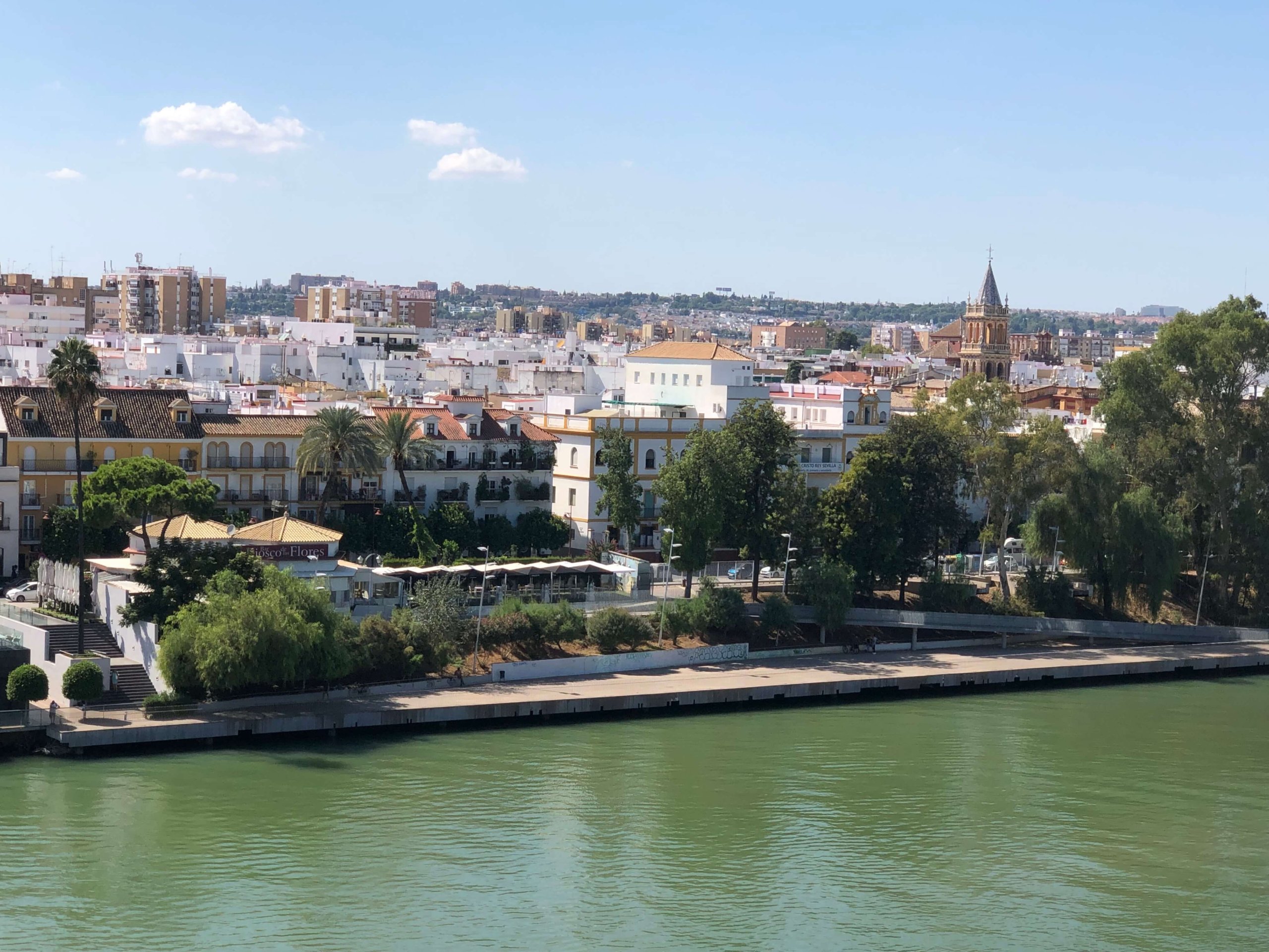 黄金の塔からの景色