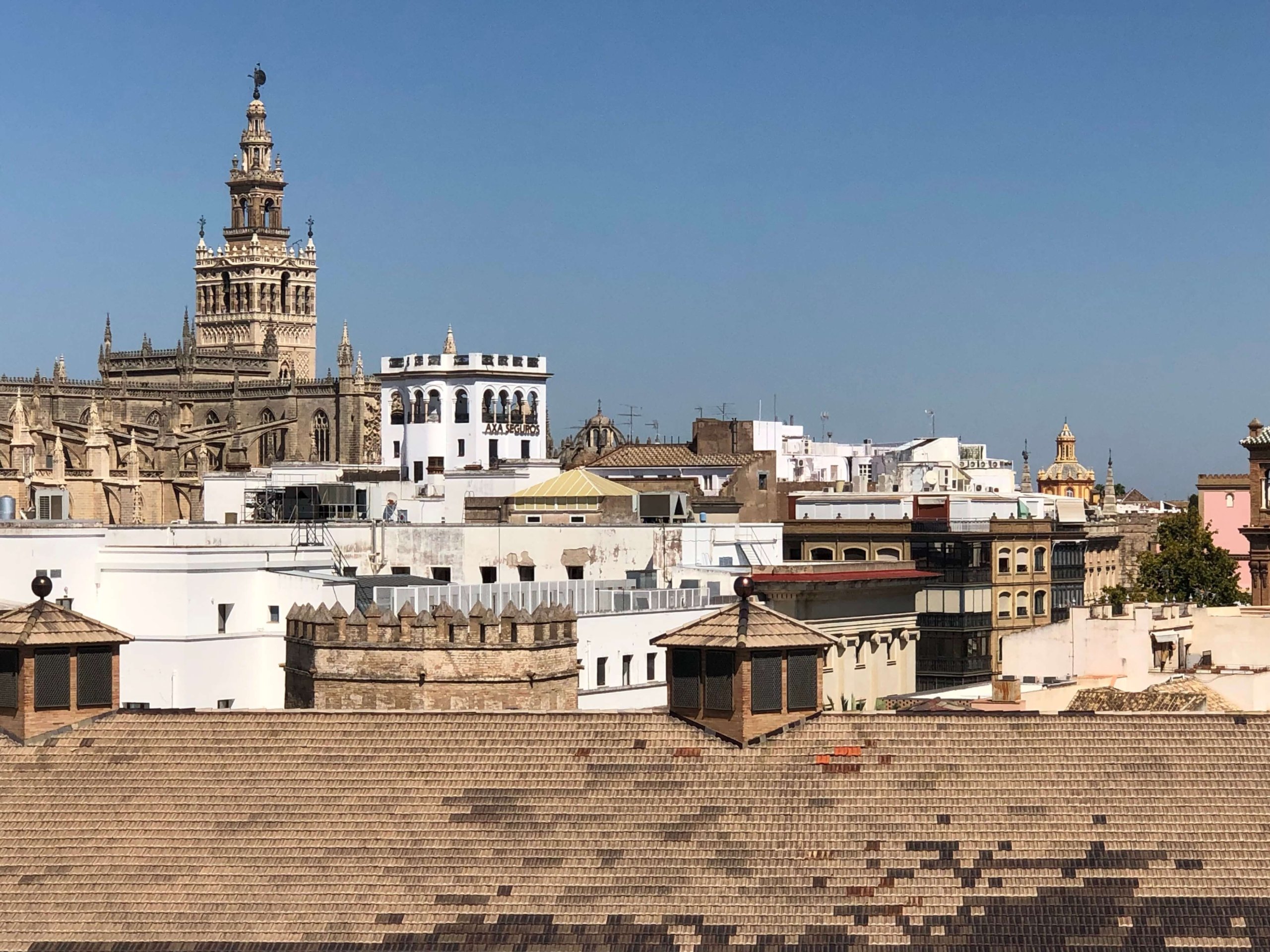 黄金の塔からの景色