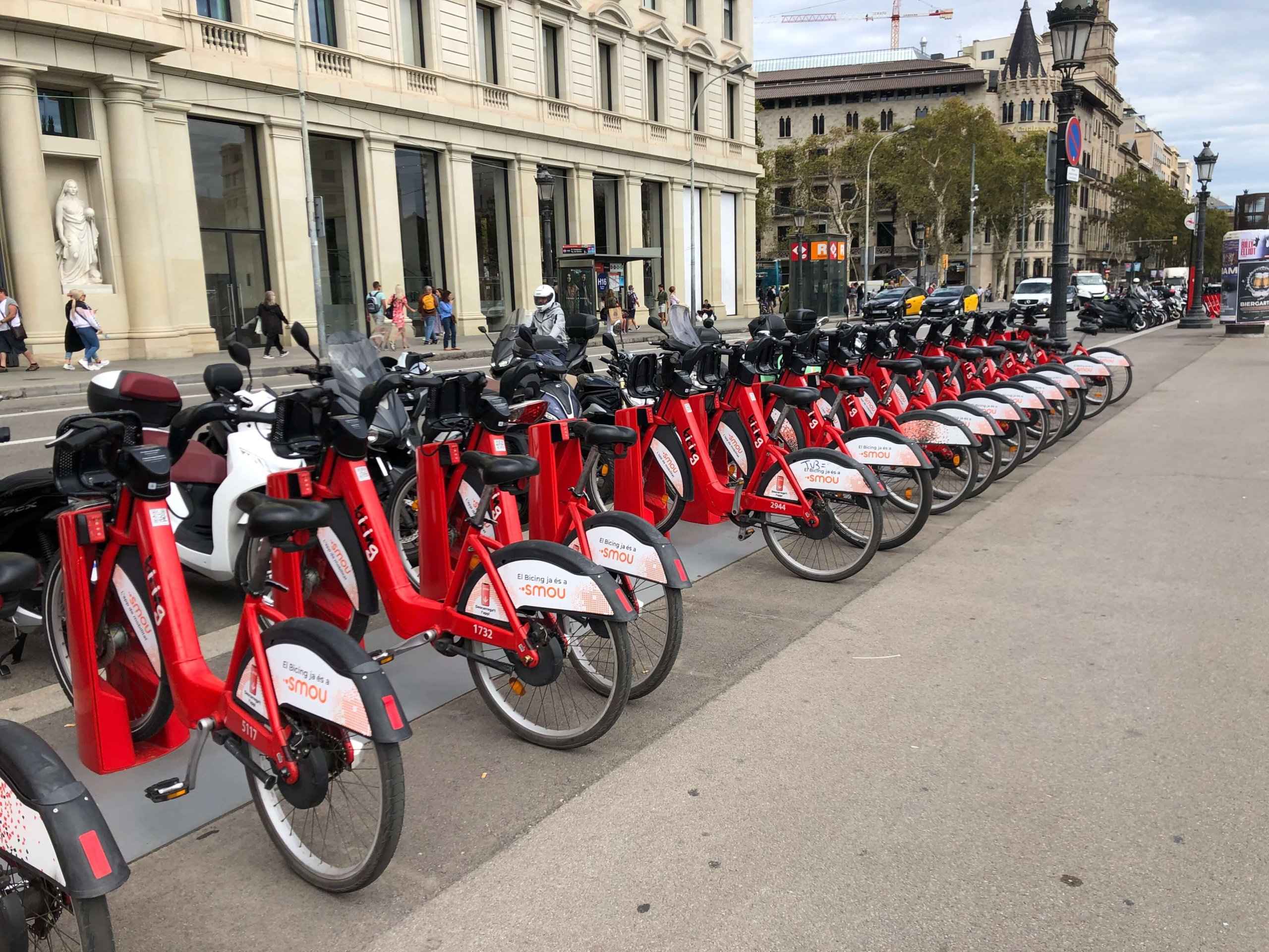 レンタサイクル