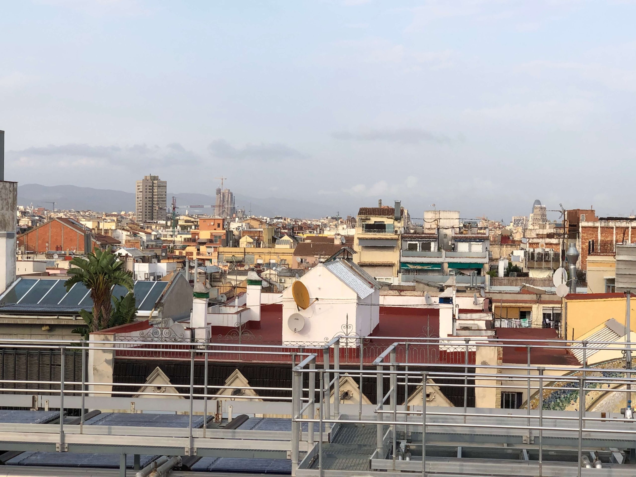 展望台からの景色